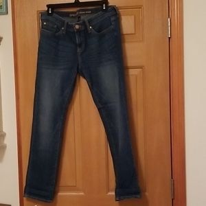 Gap Premium Skinny Ankle